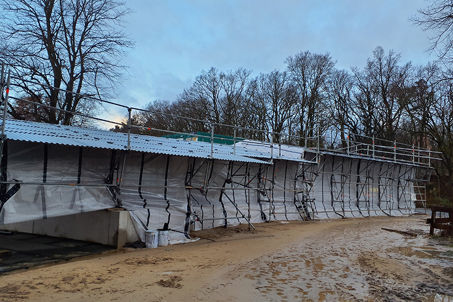 Gerüstbau Mank - Rostock - Wetterschutzdach - Thierfelder-Str.