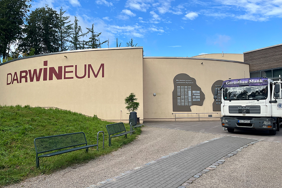 Gerüstbau Mank - Rostock - Fassadengerüst und Schutzgerüst - Darwineum