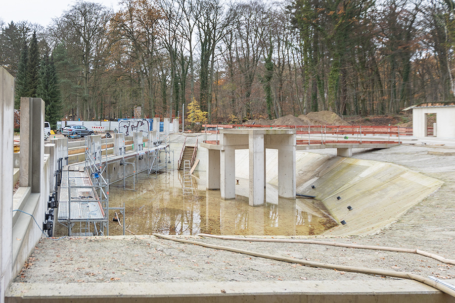 Gerüstbau Mank - Rostock - Arbeitsgerüst - Robbenbecken
