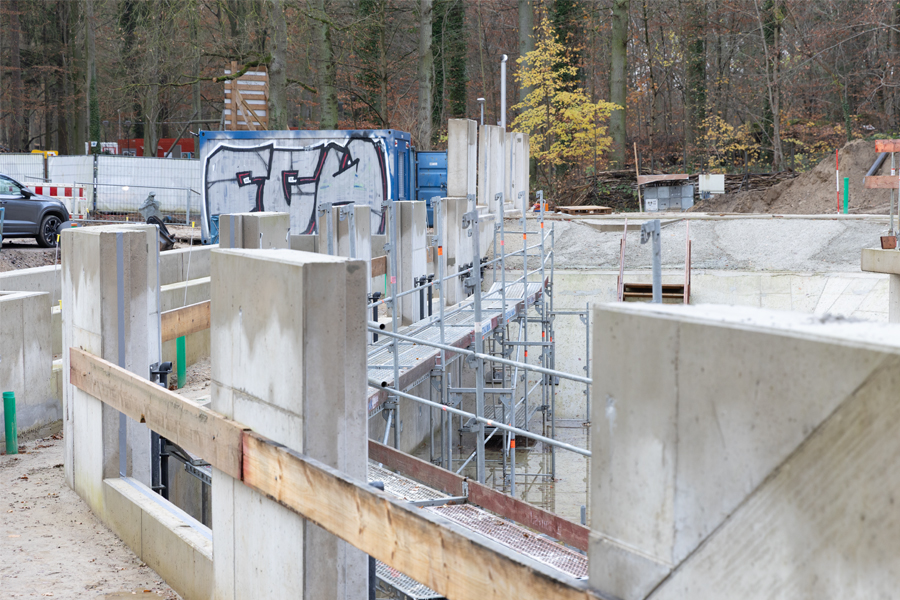 Gerüstbau Mank - Rostock - Arbeitsgerüst - Robbenbecken